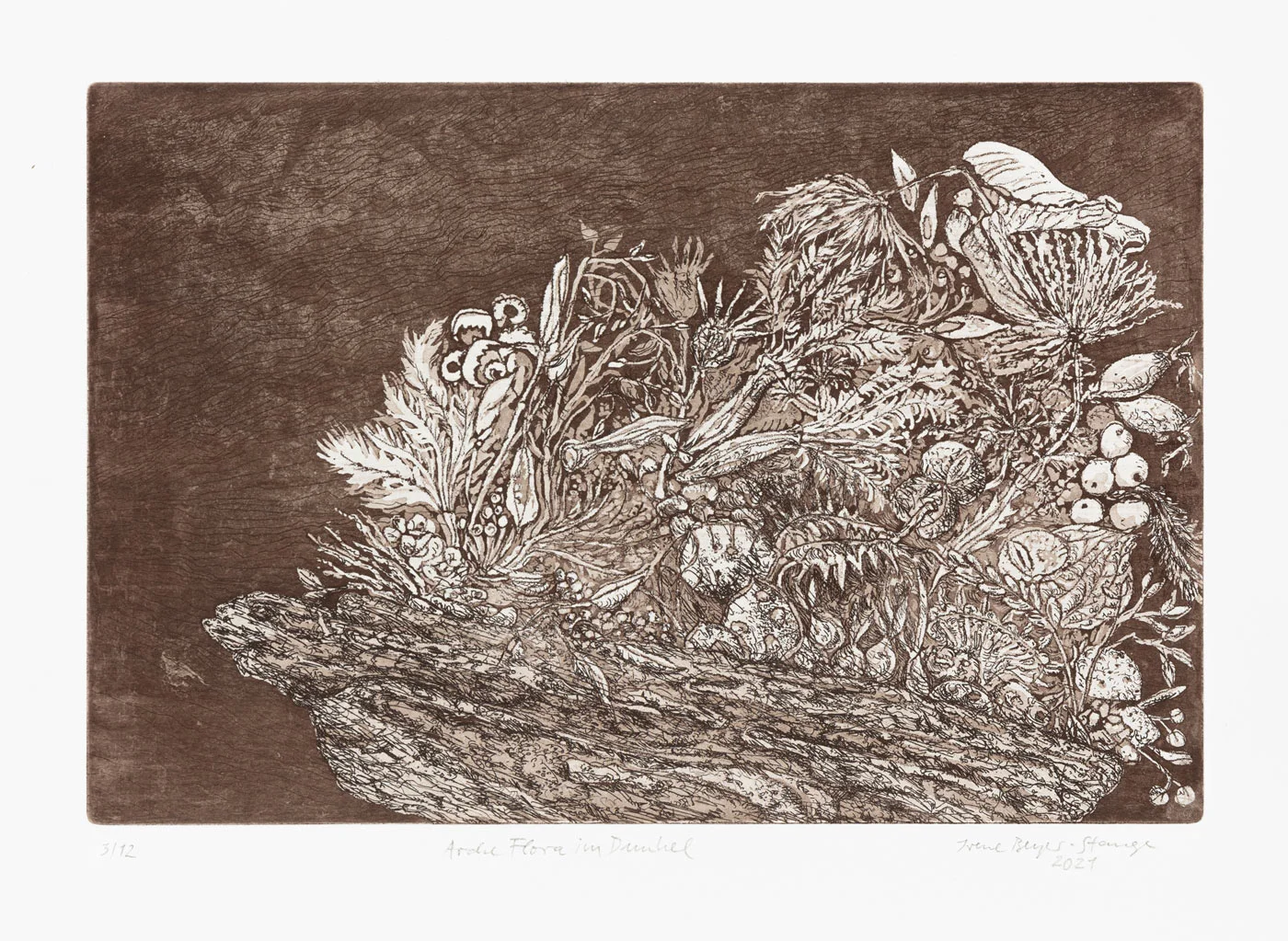 Arche Flora im Dunkel, Radierung, Aquatinta, 2021, 20,0 cm × 30,0 cm
